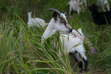 Similar image 6513534