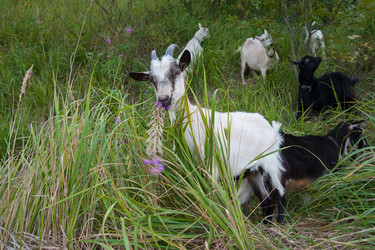 Similar image 6513535