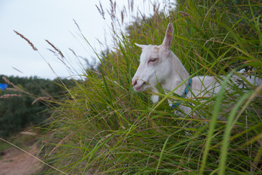 Similar image 6513536