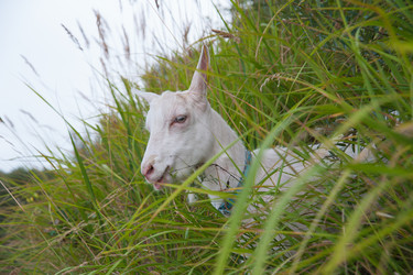 Similar image 6513537