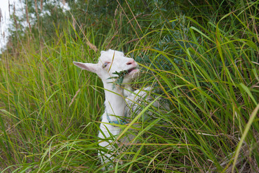 Similar image 6513538