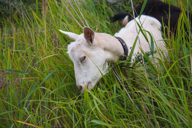 Similar image 6513539