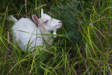 Similar image 6513544