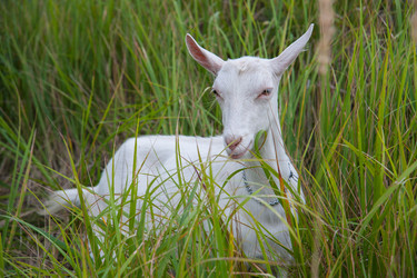 Similar image 6513548