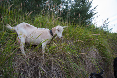 Similar image 6513549