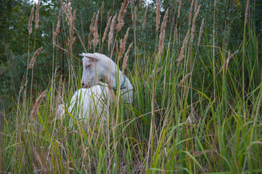 Similar image 6513553