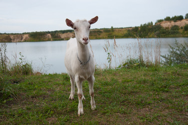 Similar image 6513554