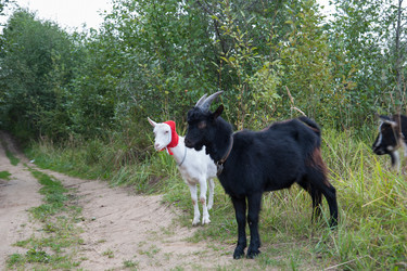 Similar image 6513558