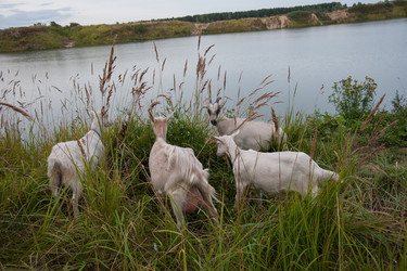 Similar image 6513559