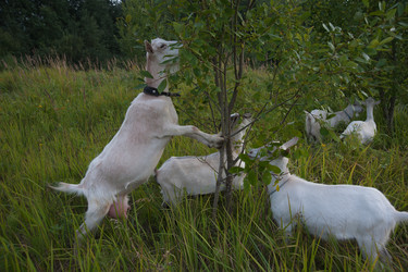 Similar image 6513561