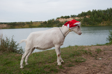 Similar image 6513564