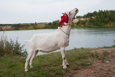 Similar image 6513565