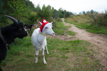 Similar image 6513566