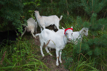 Similar image 6513567