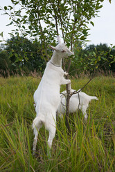 Similar image 6513577