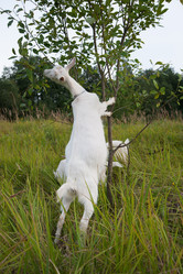 Similar image 6513578