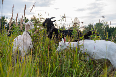 Similar image 6513583