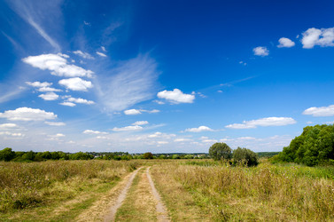 Similar image 6513592