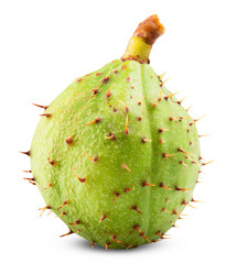 Similar image 6530273