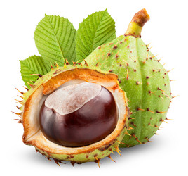 Similar image 6530292