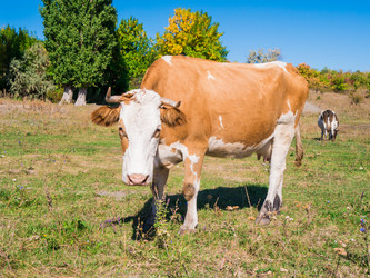 Similar image 6530341