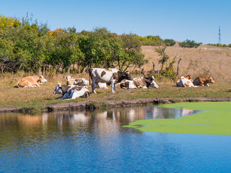 Similar image 6530342