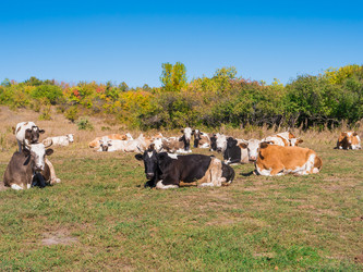 Similar image 6530343