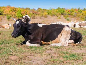 Similar image 6530344