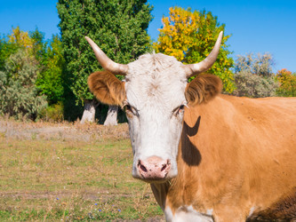 Similar image 6530345