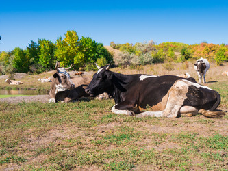 Similar image 6530346