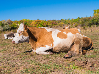 Similar image 6530347