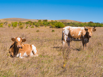 Similar image 6530348