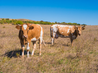 Similar image 6530349