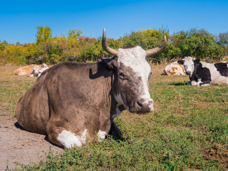 Similar image 6530361