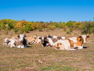 Similar image 6530362