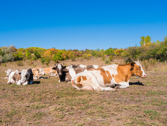 Similar image 6530363