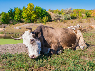 Similar image 6530364