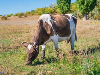 Similar image 6530365