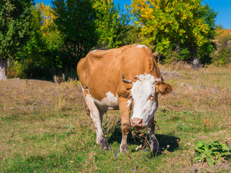 Similar image 6530366