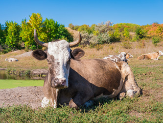 Similar image 6530367