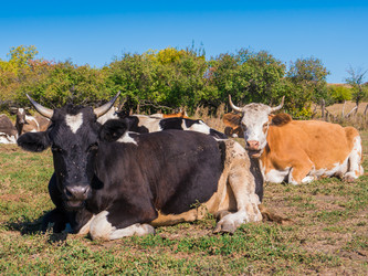 Similar image 6530368