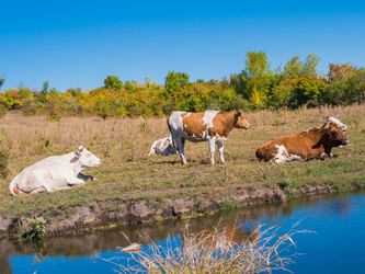 Similar image 6530369