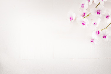 Similar image 6530575