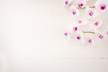 Similar image 6530577