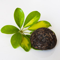 Similar image 6530646