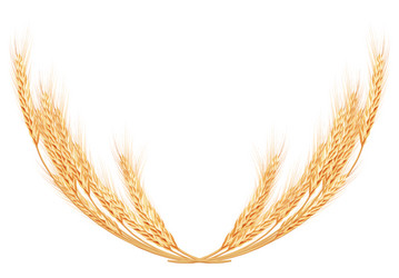 Similar image 6530771