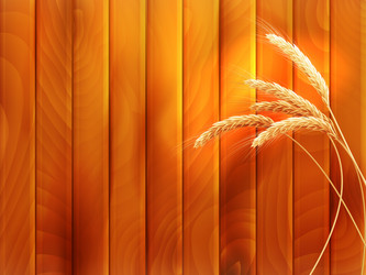 Similar image 6530779