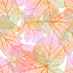 Similar image 6530784