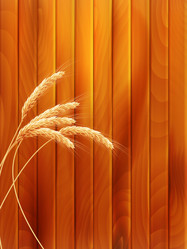 Similar image 6530789