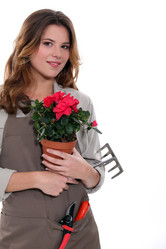 Similar image 6530977